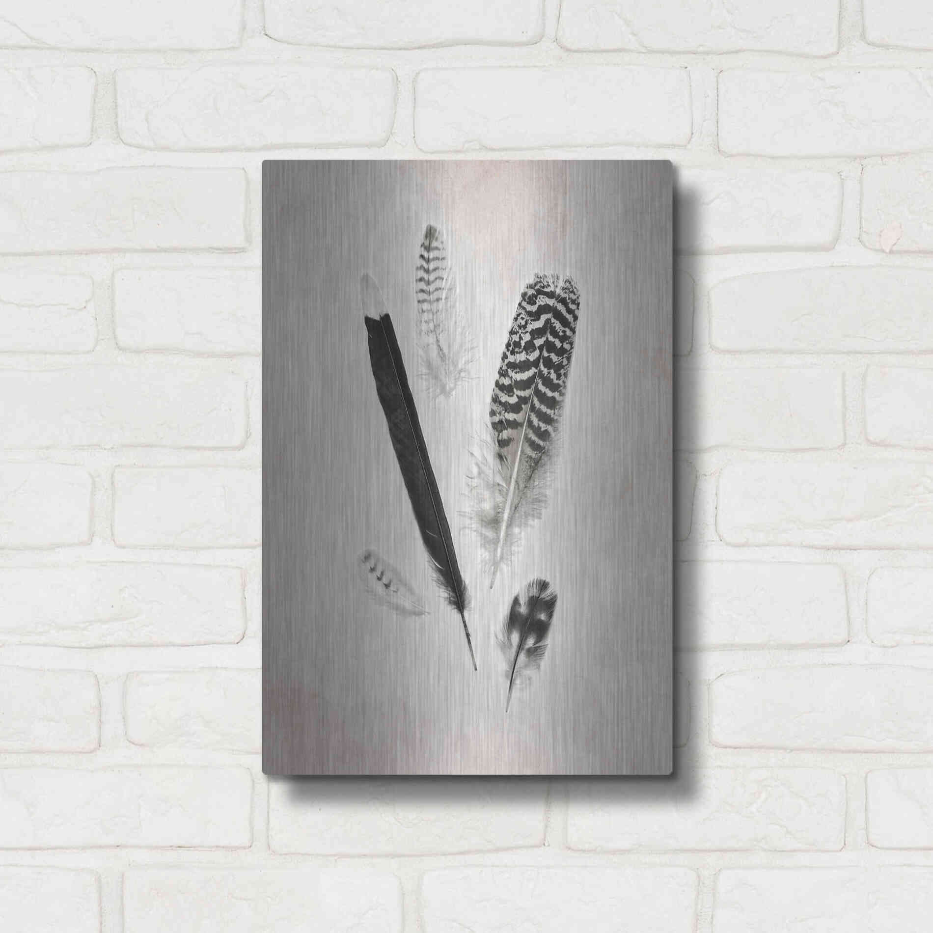 Luxe Metal Art 'Feather Group II B&W' by Debra Van Swearingen, Metal Wall Art,12x16