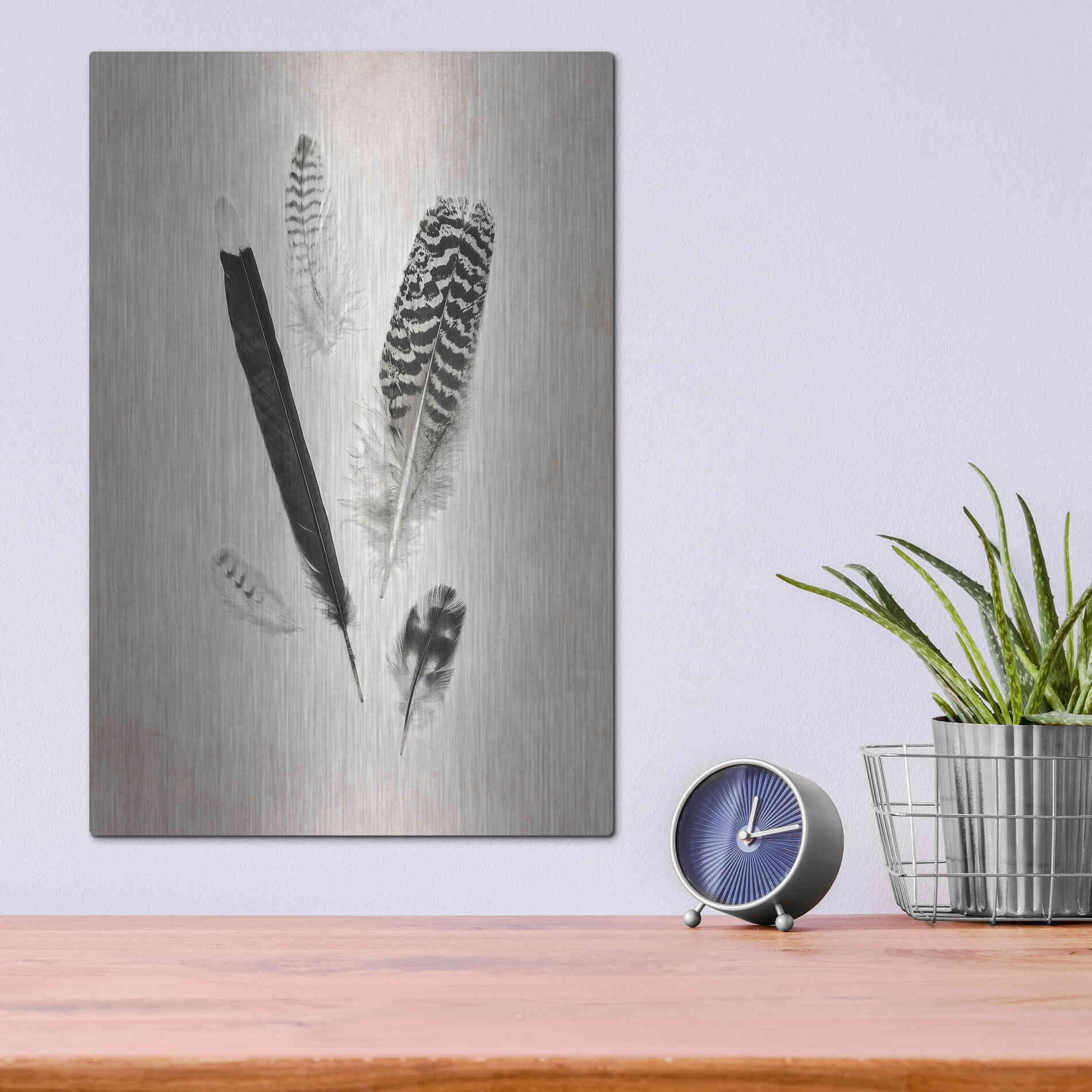 Luxe Metal Art 'Feather Group II B&W' by Debra Van Swearingen, Metal Wall Art,12x16