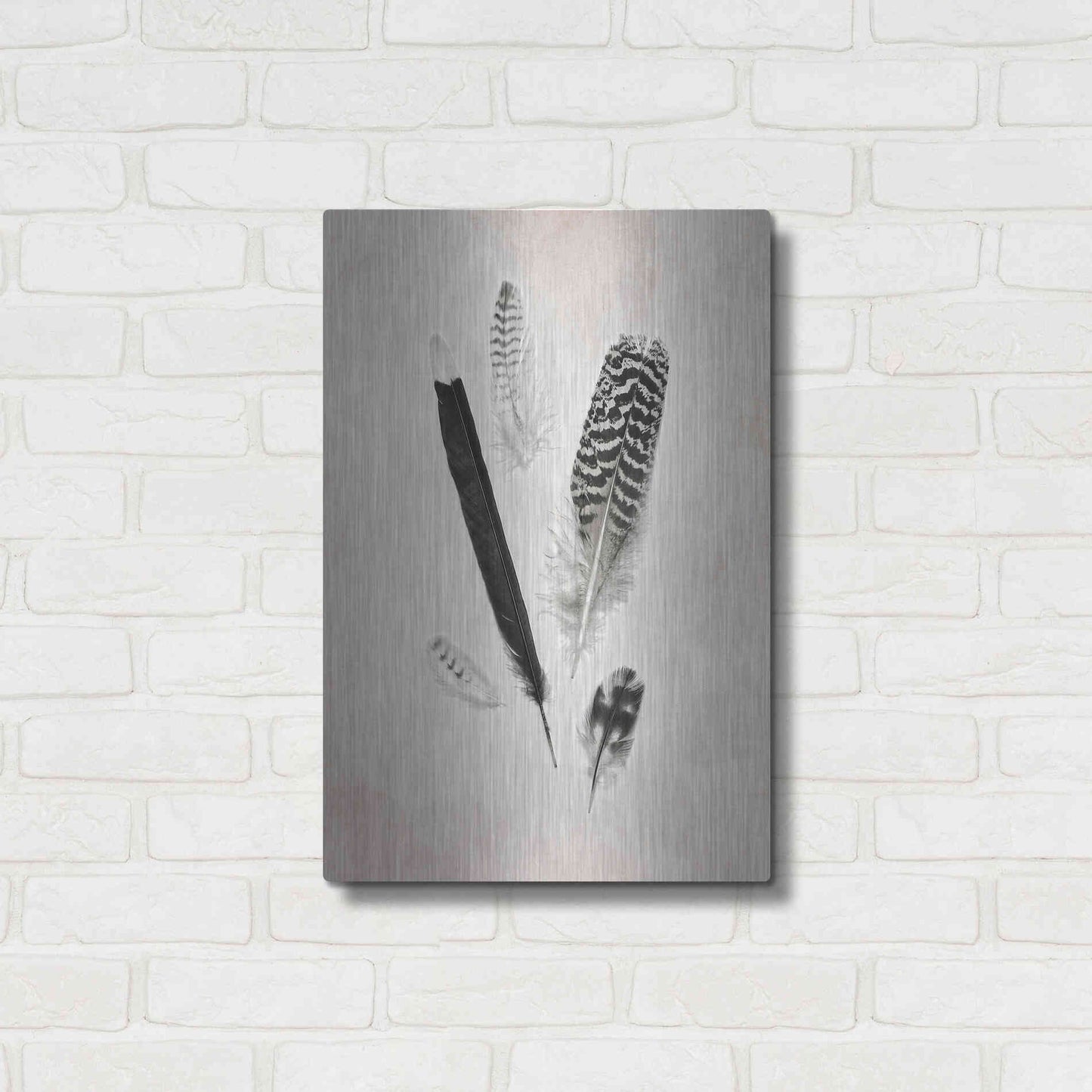 Luxe Metal Art 'Feather Group II B&W' by Debra Van Swearingen, Metal Wall Art,16x24