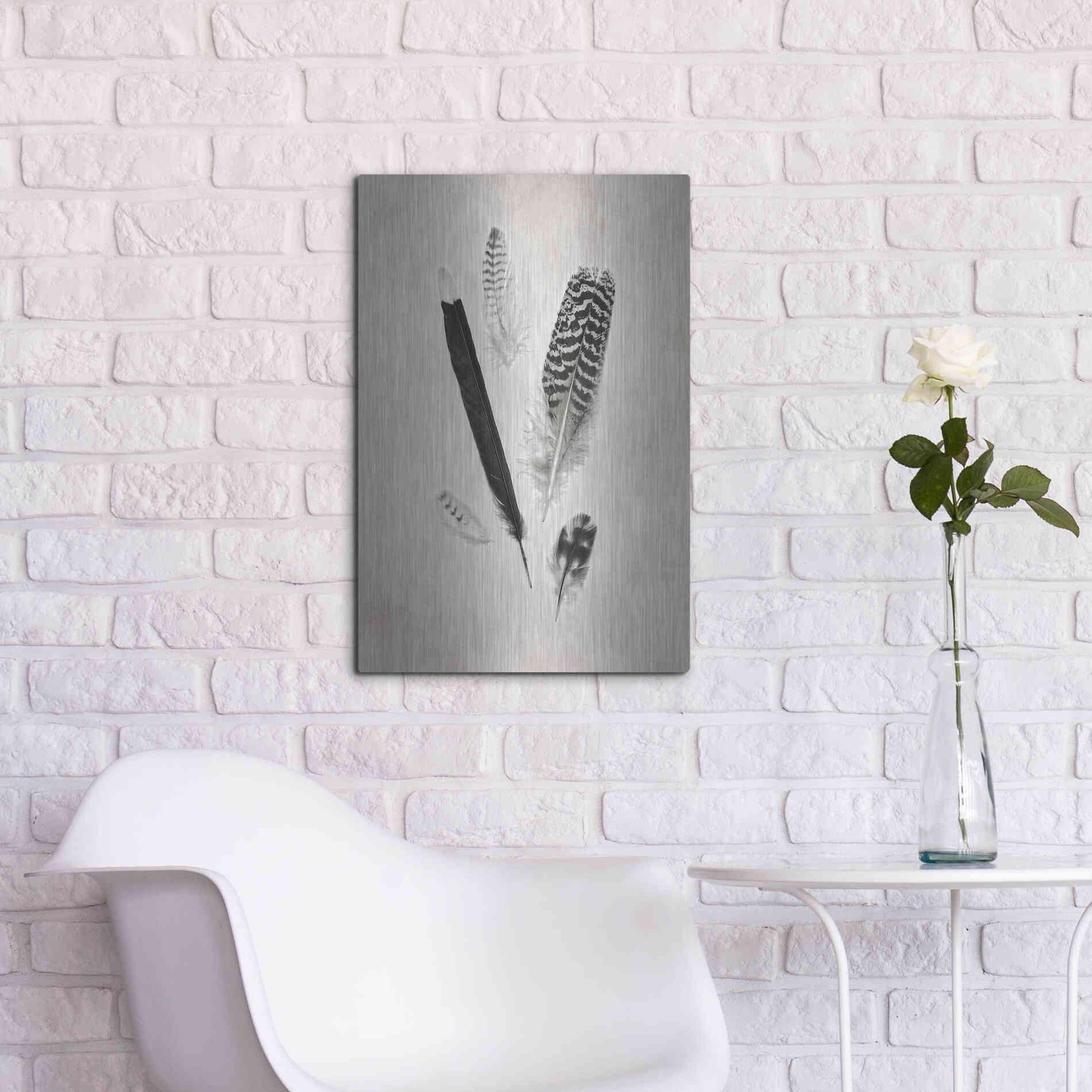 Luxe Metal Art 'Feather Group II B&W' by Debra Van Swearingen, Metal Wall Art,16x24