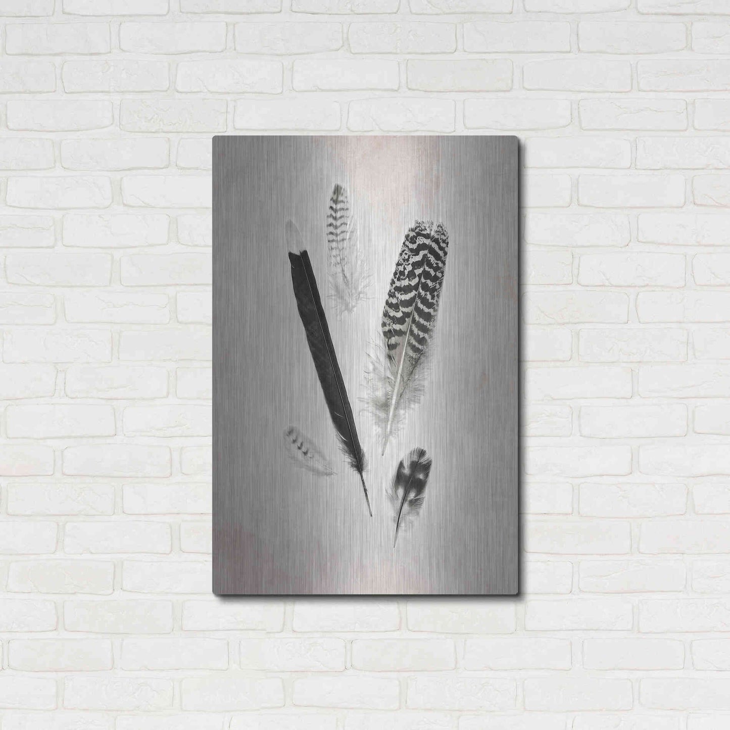 Luxe Metal Art 'Feather Group II B&W' by Debra Van Swearingen, Metal Wall Art,24x36