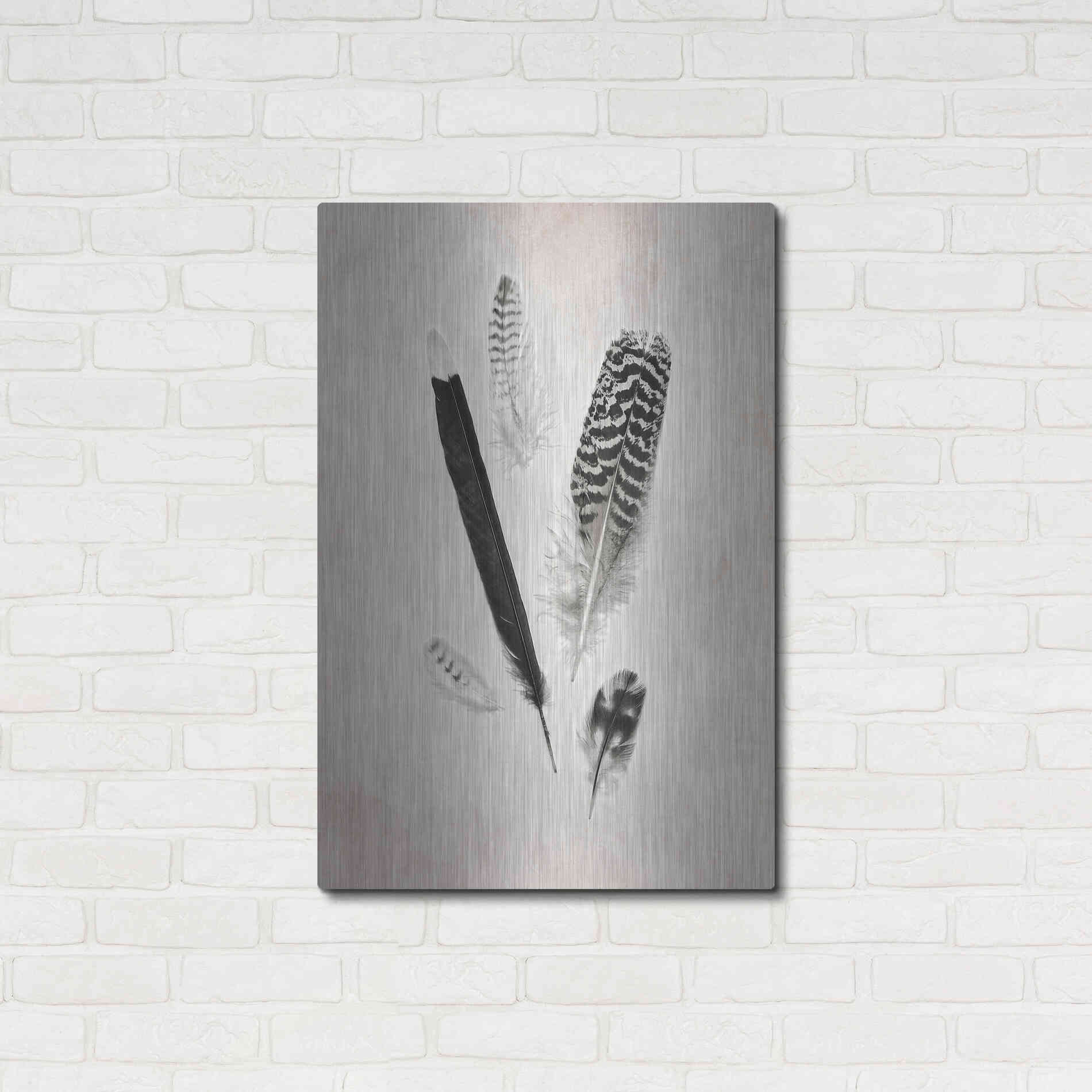 Luxe Metal Art 'Feather Group II B&W' by Debra Van Swearingen, Metal Wall Art,24x36