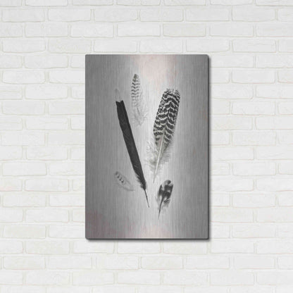 Luxe Metal Art 'Feather Group II B&W' by Debra Van Swearingen, Metal Wall Art,24x36