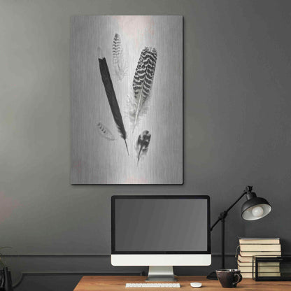Luxe Metal Art 'Feather Group II B&W' by Debra Van Swearingen, Metal Wall Art,24x36