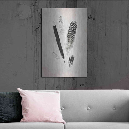 Luxe Metal Art 'Feather Group II B&W' by Debra Van Swearingen, Metal Wall Art,24x36