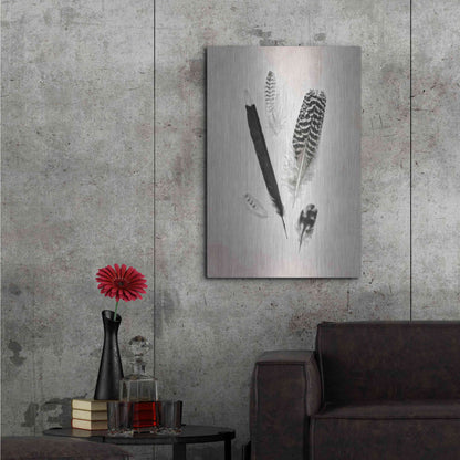 Luxe Metal Art 'Feather Group II B&W' by Debra Van Swearingen, Metal Wall Art,24x36