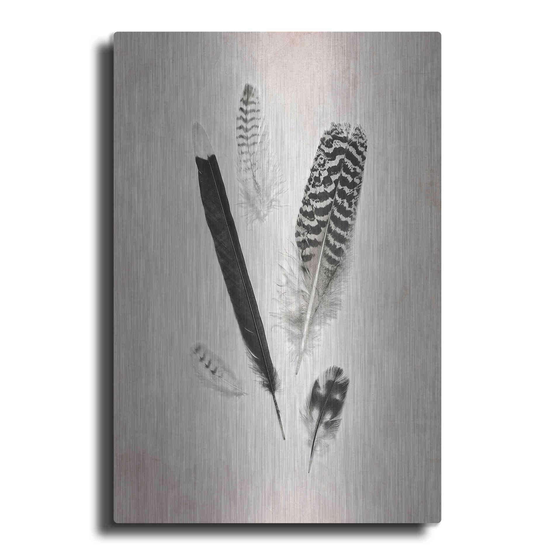 Luxe Metal Art 'Feather Group II B&W' by Debra Van Swearingen, Metal Wall Art