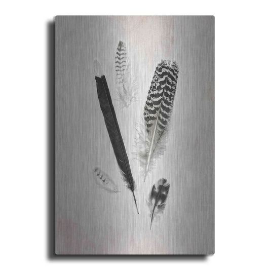 Luxe Metal Art 'Feather Group II B&W' by Debra Van Swearingen, Metal Wall Art