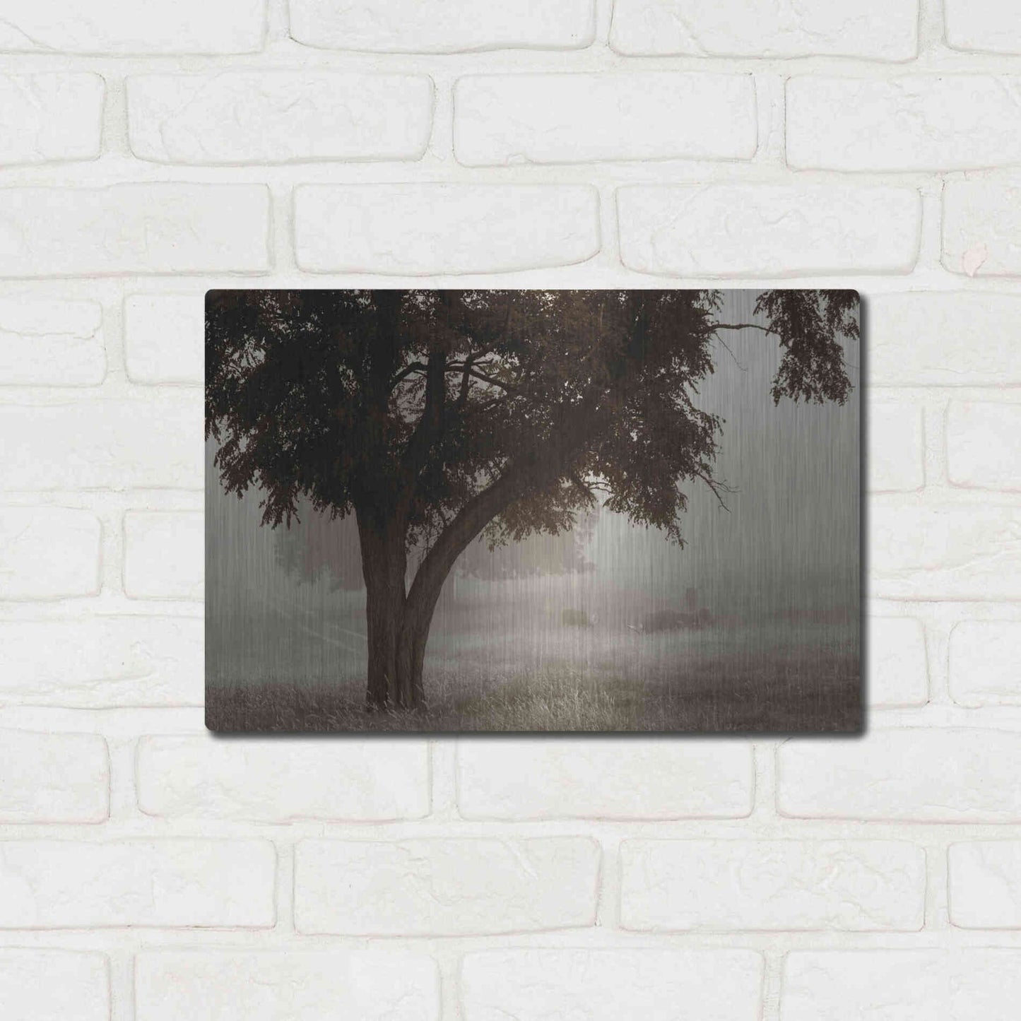 Luxe Metal Art 'Calm Mist' by Debra Van Swearingen, Metal Wall Art,16x12