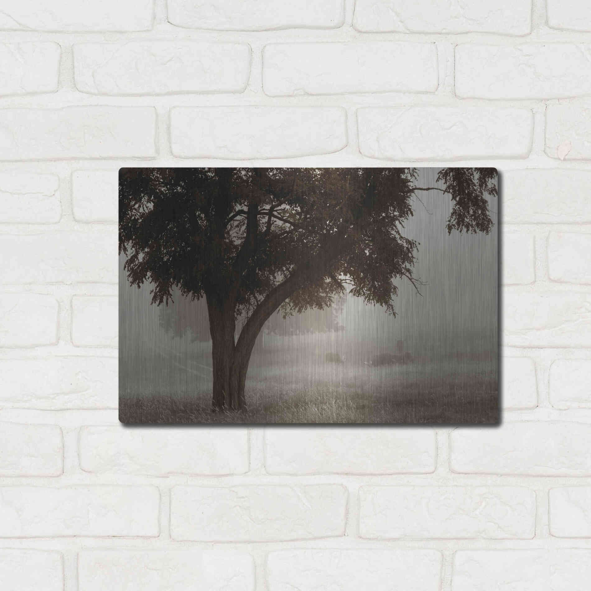 Luxe Metal Art 'Calm Mist' by Debra Van Swearingen, Metal Wall Art,16x12