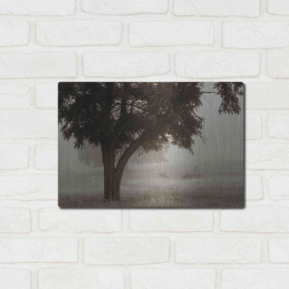 Luxe Metal Art 'Calm Mist' by Debra Van Swearingen, Metal Wall Art,16x12