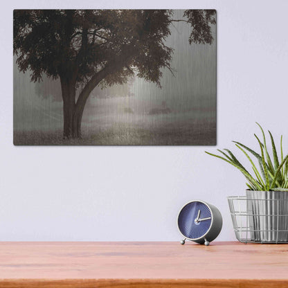 Luxe Metal Art 'Calm Mist' by Debra Van Swearingen, Metal Wall Art,16x12