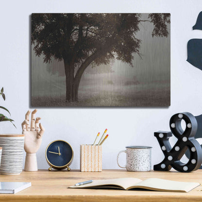 Luxe Metal Art 'Calm Mist' by Debra Van Swearingen, Metal Wall Art,16x12