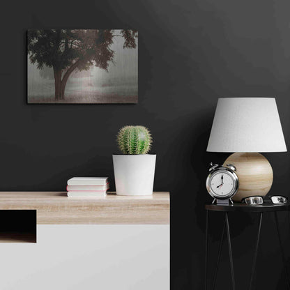 Luxe Metal Art 'Calm Mist' by Debra Van Swearingen, Metal Wall Art,24x16