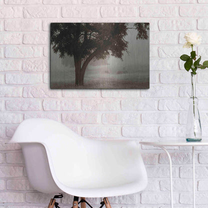 Luxe Metal Art 'Calm Mist' by Debra Van Swearingen, Metal Wall Art,24x16