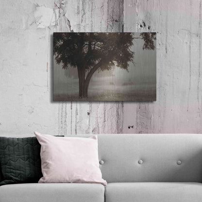 Luxe Metal Art 'Calm Mist' by Debra Van Swearingen, Metal Wall Art,36x24