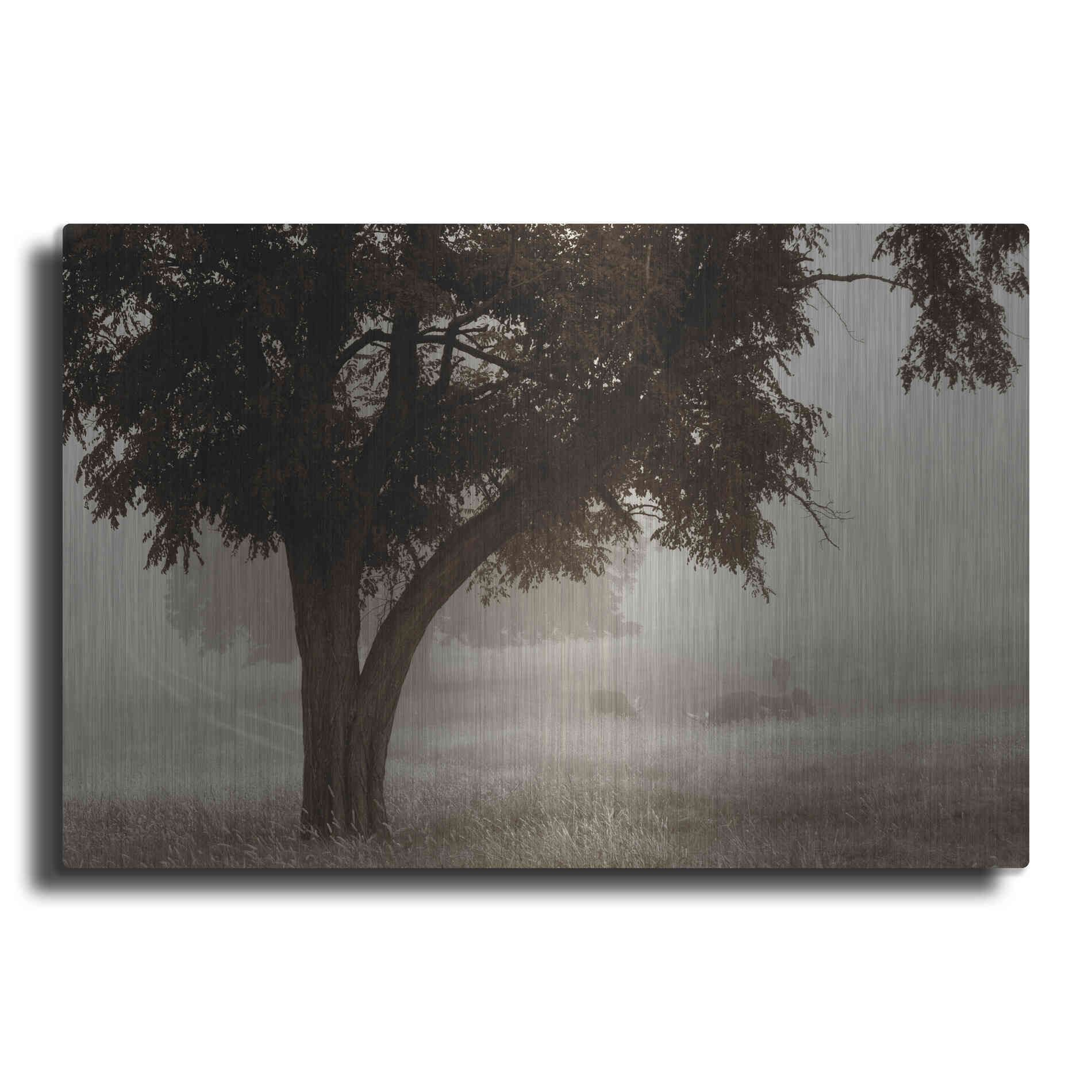 Luxe Metal Art 'Calm Mist' by Debra Van Swearingen, Metal Wall Art