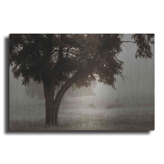 Luxe Metal Art 'Calm Mist' by Debra Van Swearingen, Metal Wall Art