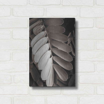 Luxe Metal Art 'Tropical Plant I' by Debra Van Swearingen, Metal Wall Art,12x16