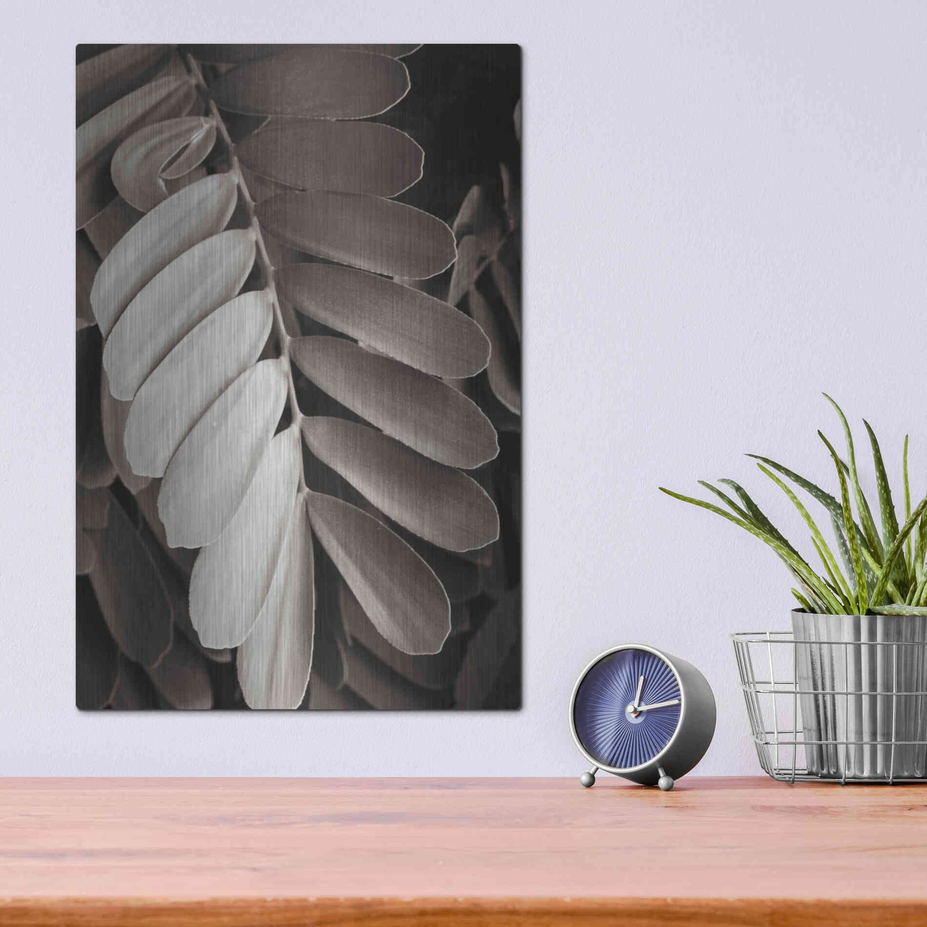 Luxe Metal Art 'Tropical Plant I' by Debra Van Swearingen, Metal Wall Art,12x16