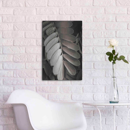 Luxe Metal Art 'Tropical Plant I' by Debra Van Swearingen, Metal Wall Art,16x24