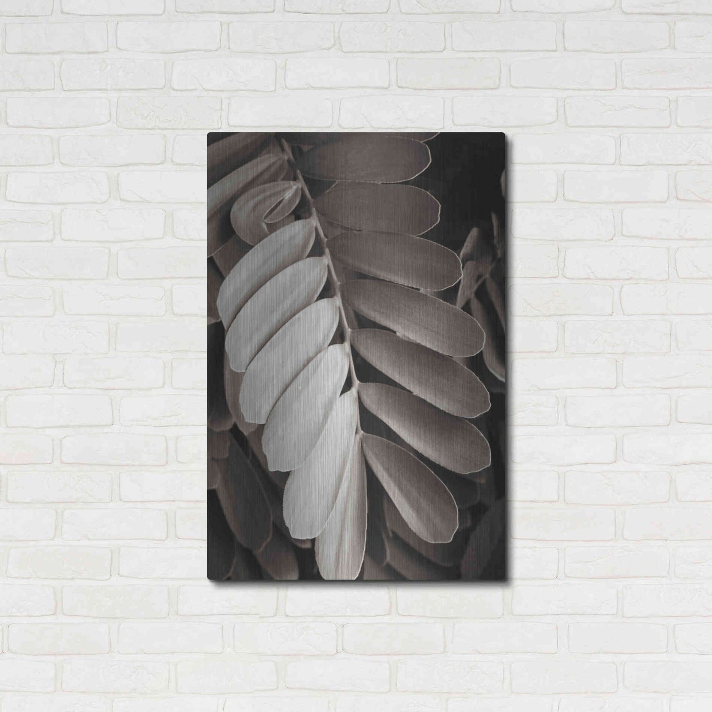 Luxe Metal Art 'Tropical Plant I' by Debra Van Swearingen, Metal Wall Art,24x36