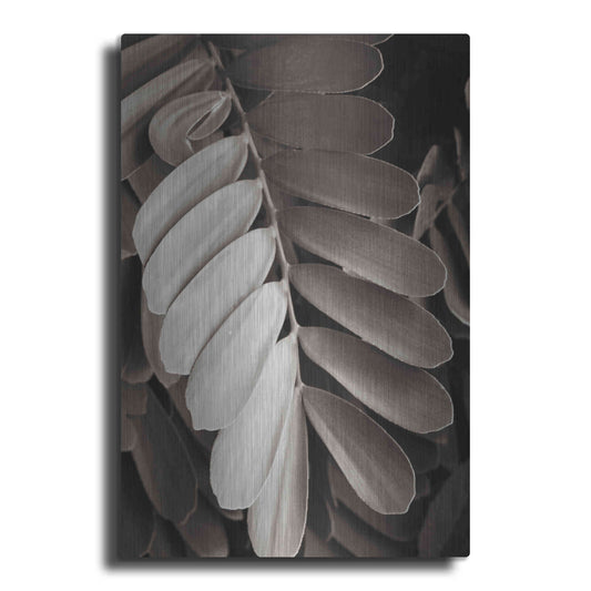 Luxe Metal Art 'Tropical Plant I' by Debra Van Swearingen, Metal Wall Art