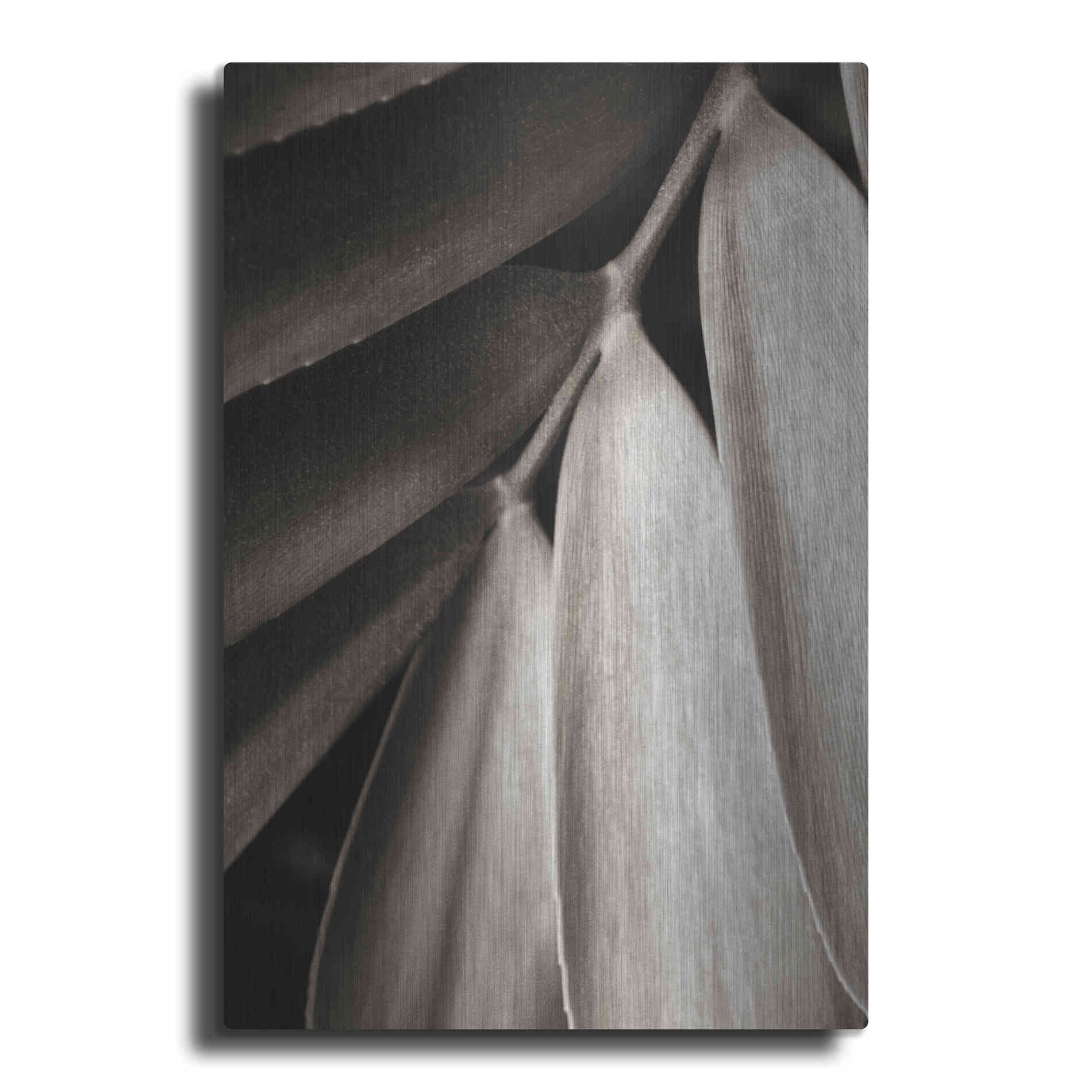 Luxe Metal Art 'Tropical Plant II' by Debra Van Swearingen, Metal Wall Art