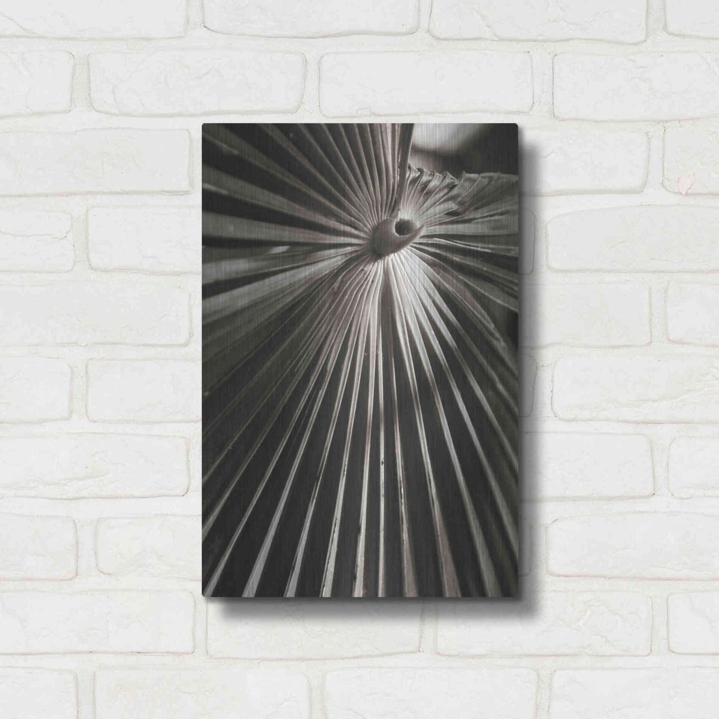 Luxe Metal Art 'Palm Frond 1' by Debra Van Swearingen, Metal Wall Art,12x16