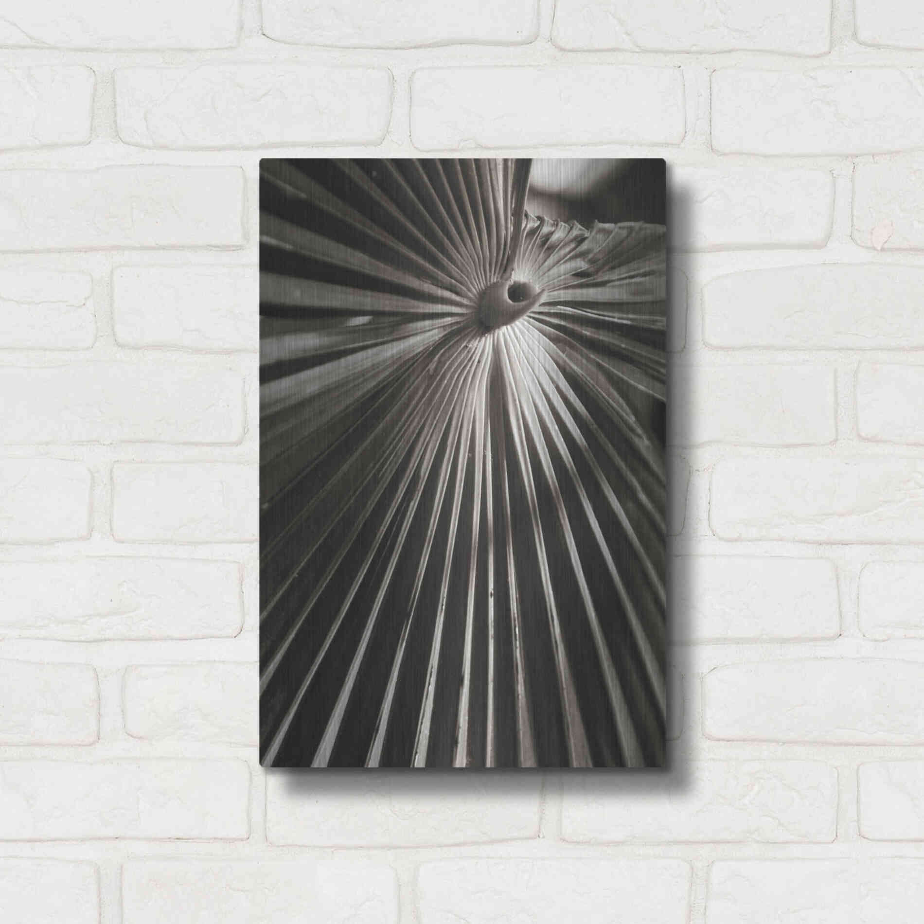 Luxe Metal Art 'Palm Frond 1' by Debra Van Swearingen, Metal Wall Art,12x16