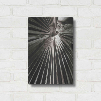 Luxe Metal Art 'Palm Frond 1' by Debra Van Swearingen, Metal Wall Art,12x16