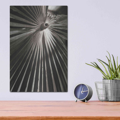 Luxe Metal Art 'Palm Frond 1' by Debra Van Swearingen, Metal Wall Art,12x16