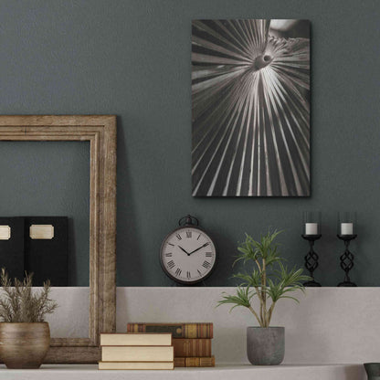 Luxe Metal Art 'Palm Frond 1' by Debra Van Swearingen, Metal Wall Art,12x16