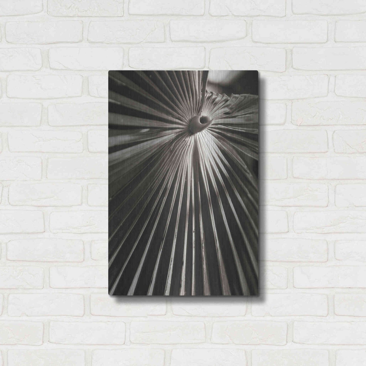 Luxe Metal Art 'Palm Frond 1' by Debra Van Swearingen, Metal Wall Art,16x24