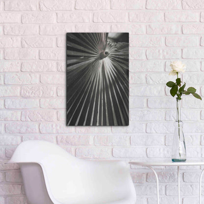 Luxe Metal Art 'Palm Frond 1' by Debra Van Swearingen, Metal Wall Art,16x24