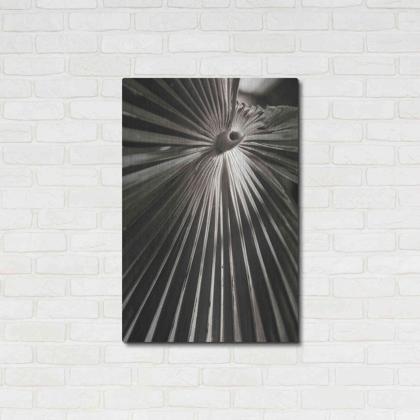 Luxe Metal Art 'Palm Frond 1' by Debra Van Swearingen, Metal Wall Art,24x36