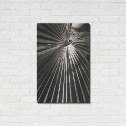 Luxe Metal Art 'Palm Frond 1' by Debra Van Swearingen, Metal Wall Art,24x36