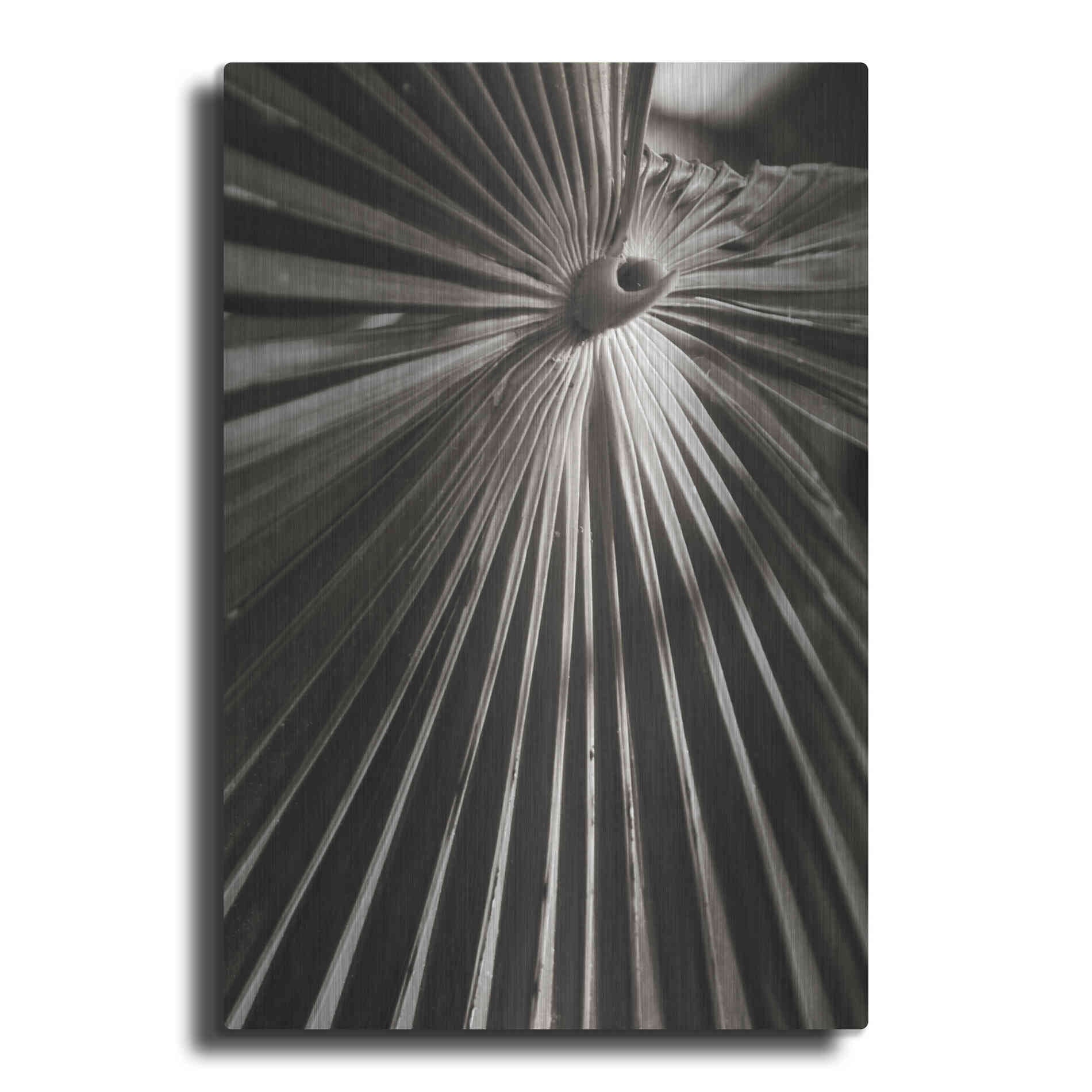 Luxe Metal Art 'Palm Frond 1' by Debra Van Swearingen, Metal Wall Art
