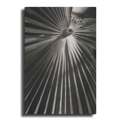 Luxe Metal Art 'Palm Frond 1' by Debra Van Swearingen, Metal Wall Art