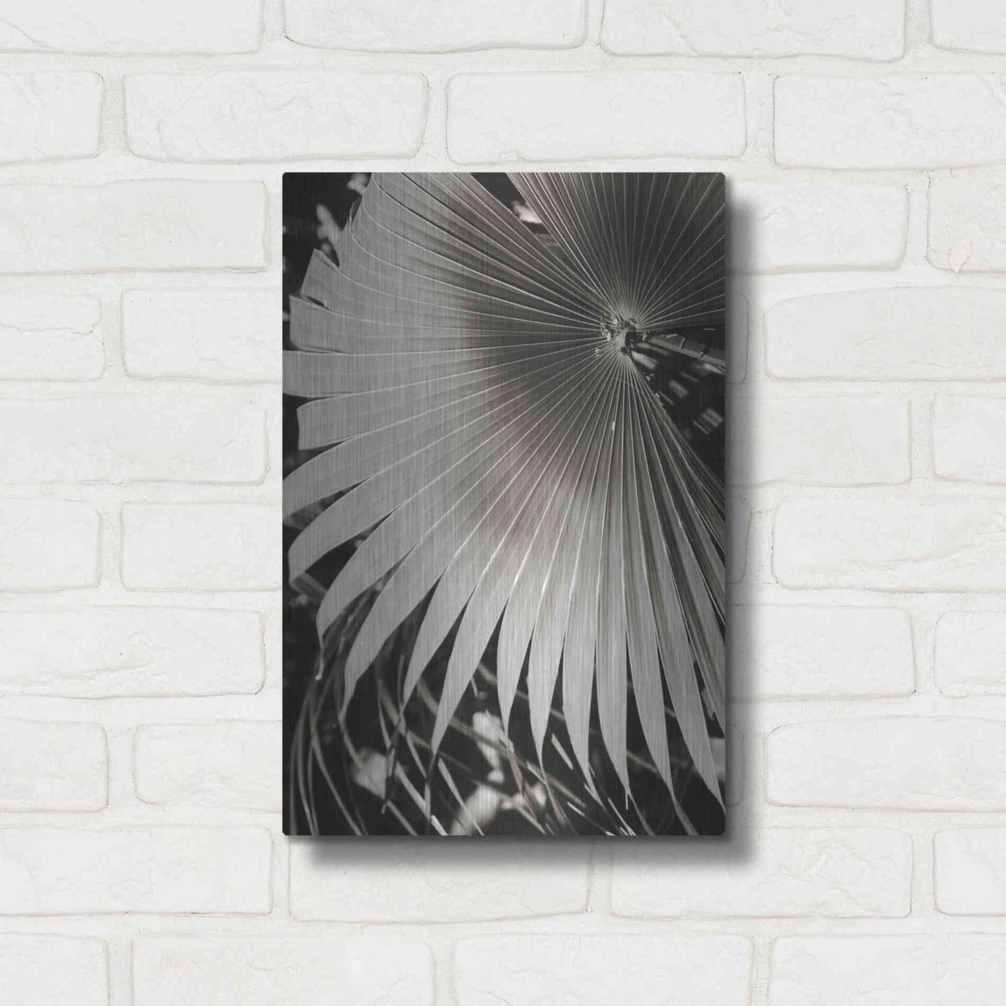 Luxe Metal Art 'Palm Frond 2' by Debra Van Swearingen, Metal Wall Art,12x16