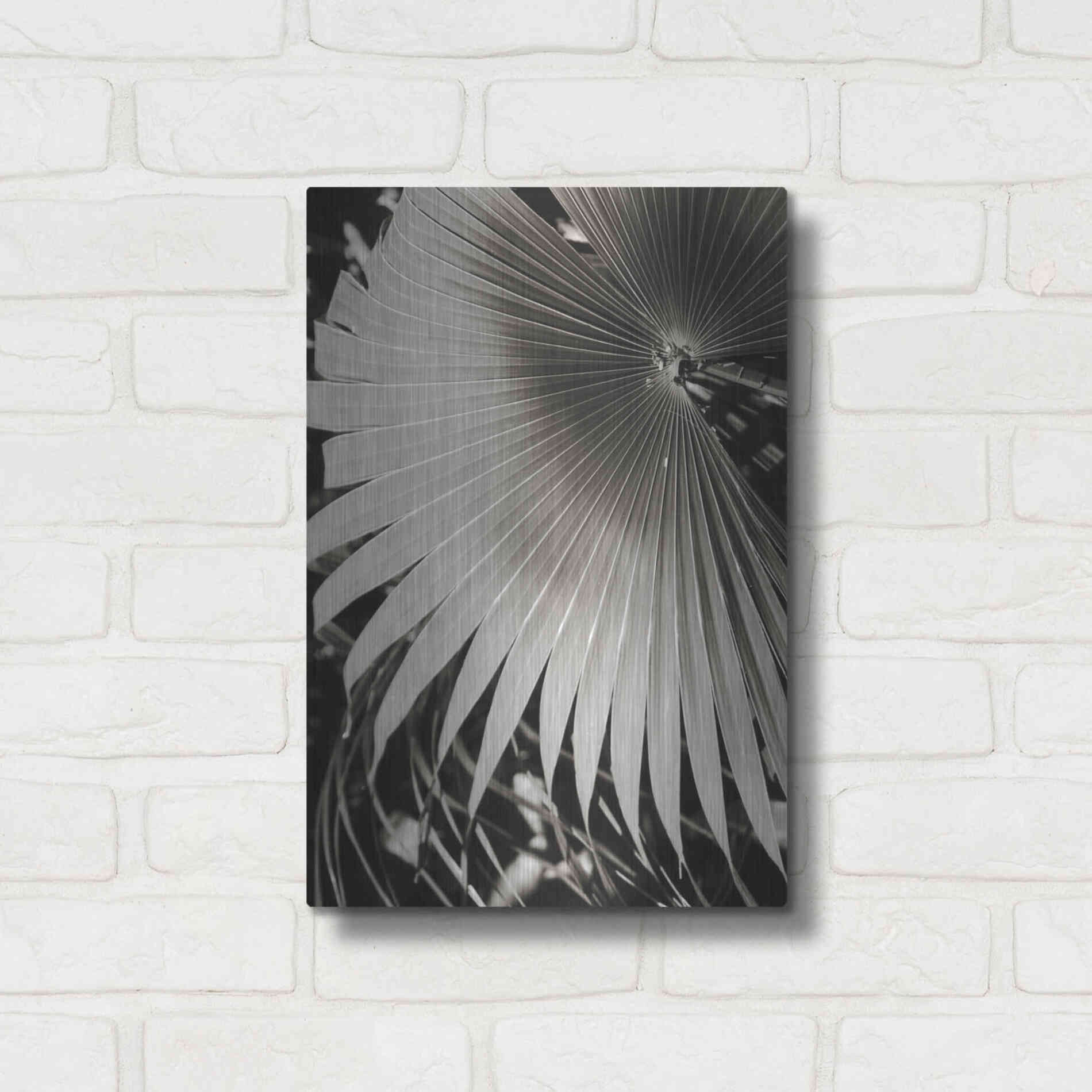 Luxe Metal Art 'Palm Frond 2' by Debra Van Swearingen, Metal Wall Art,12x16