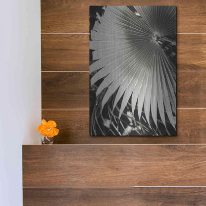 Luxe Metal Art 'Palm Frond 2' by Debra Van Swearingen, Metal Wall Art,12x16