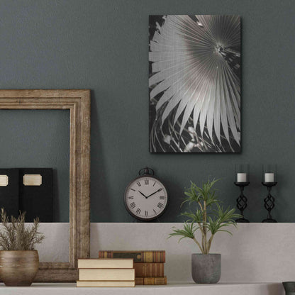 Luxe Metal Art 'Palm Frond 2' by Debra Van Swearingen, Metal Wall Art,12x16