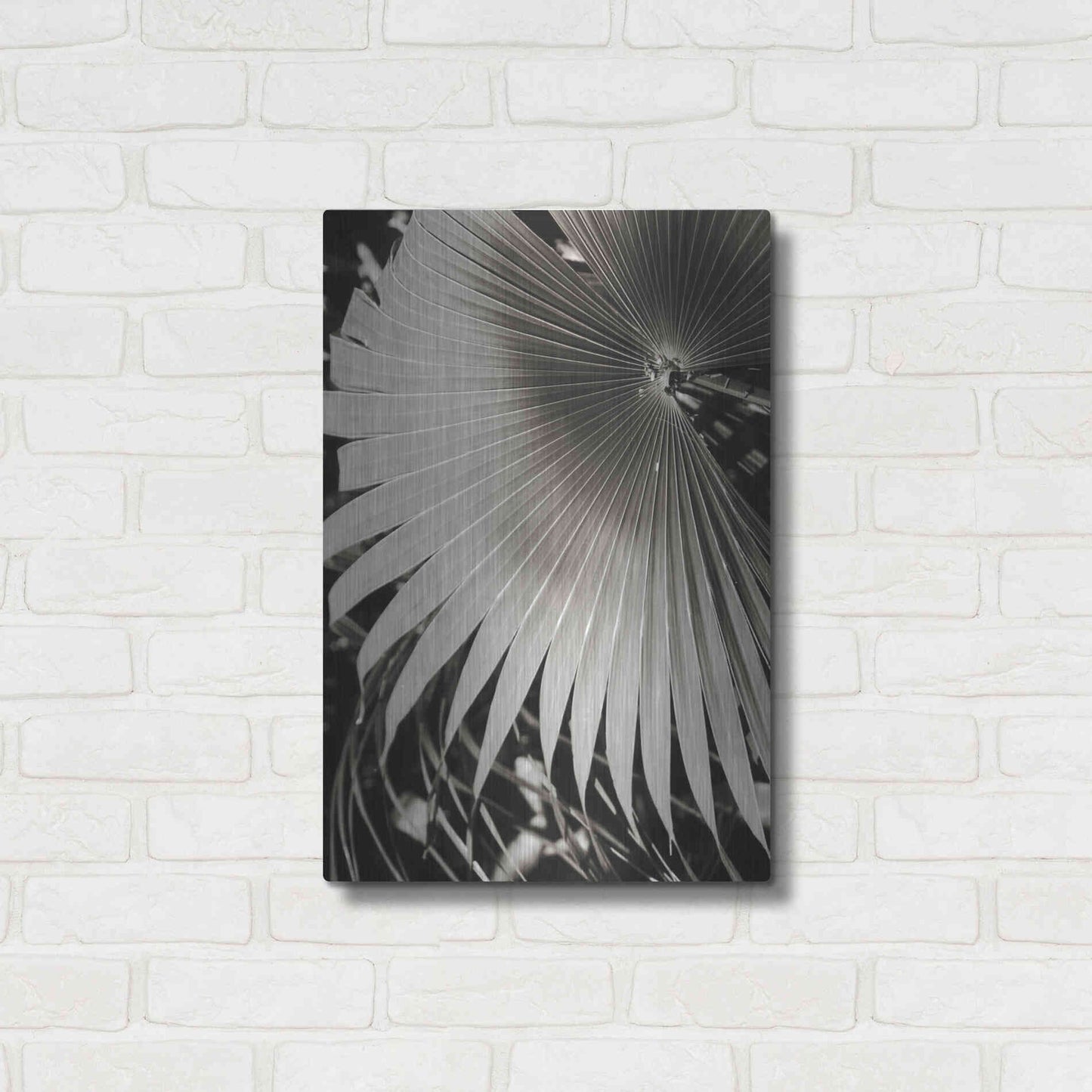 Luxe Metal Art 'Palm Frond 2' by Debra Van Swearingen, Metal Wall Art,16x24