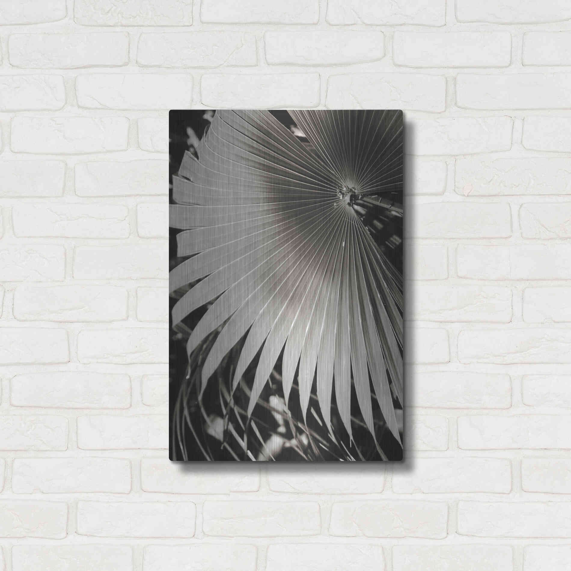 Luxe Metal Art 'Palm Frond 2' by Debra Van Swearingen, Metal Wall Art,16x24