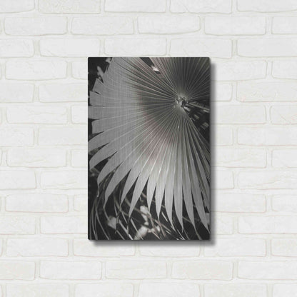 Luxe Metal Art 'Palm Frond 2' by Debra Van Swearingen, Metal Wall Art,16x24