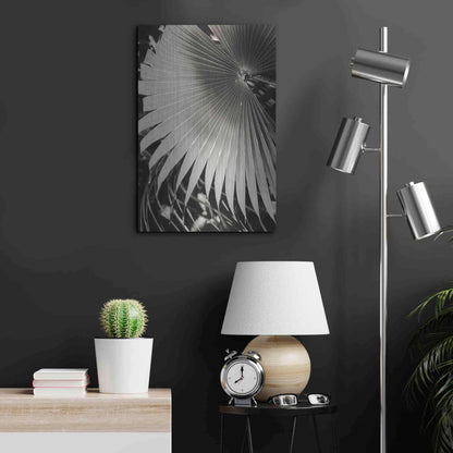Luxe Metal Art 'Palm Frond 2' by Debra Van Swearingen, Metal Wall Art,16x24