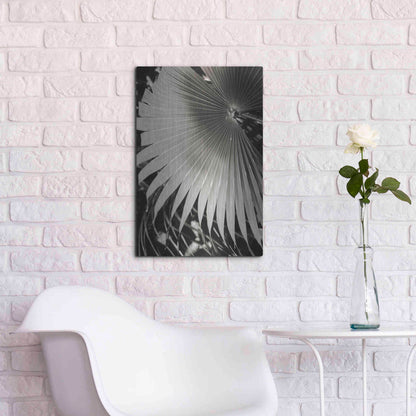 Luxe Metal Art 'Palm Frond 2' by Debra Van Swearingen, Metal Wall Art,16x24