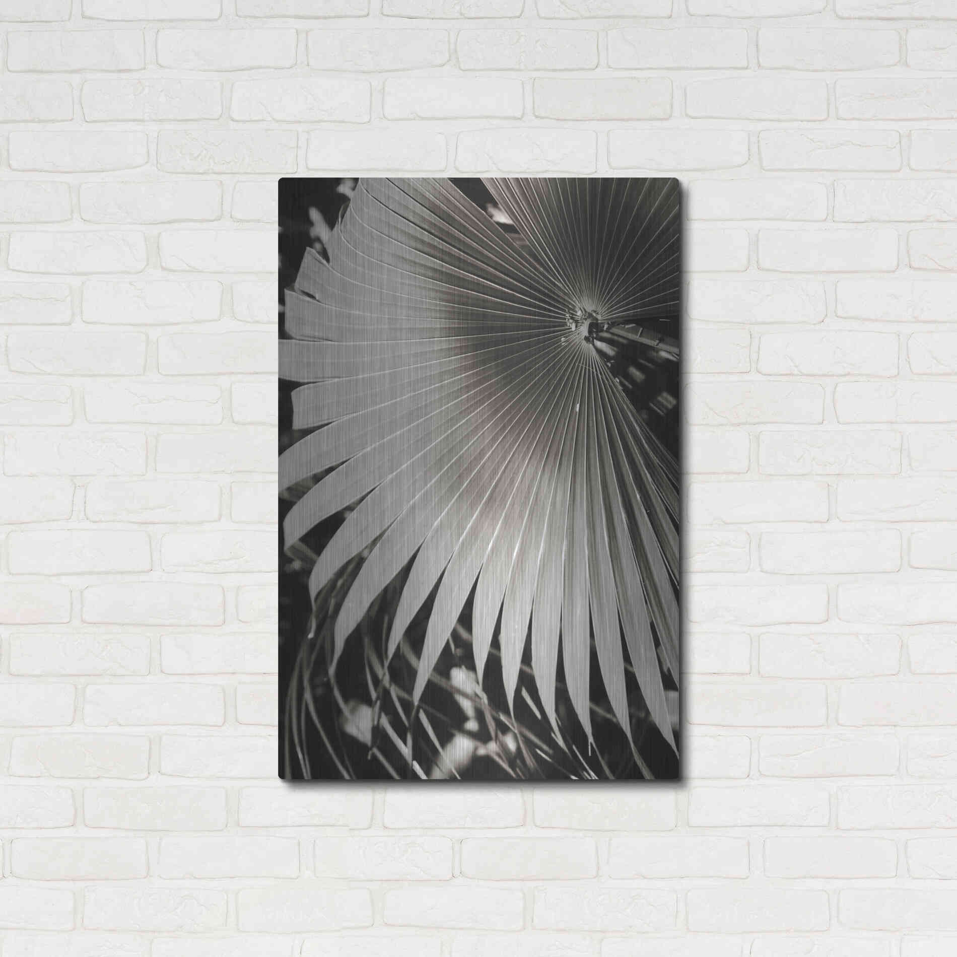 Luxe Metal Art 'Palm Frond 2' by Debra Van Swearingen, Metal Wall Art,24x36