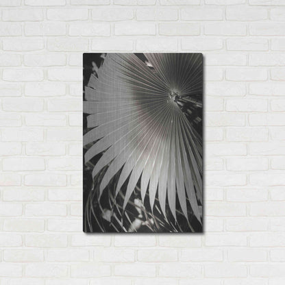 Luxe Metal Art 'Palm Frond 2' by Debra Van Swearingen, Metal Wall Art,24x36